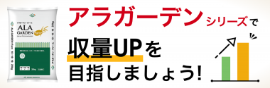 光合成を促進する増収効果の⾼い肥料｜金沢丸善